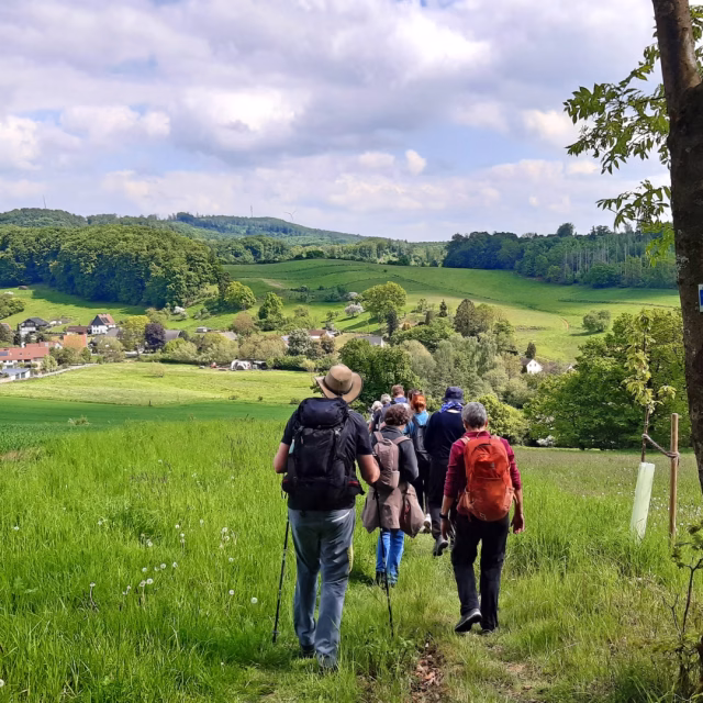 3. Hansaweg-Wanderung_LE_DÖ_LTM GmbH